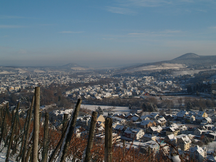 Der Rotweinwanderweg im Ahrtal an der Ahr bietet zu jeder Jahreszeit ganz besondere Fernsichten mitten in der Natur umringt von Weinbergen.