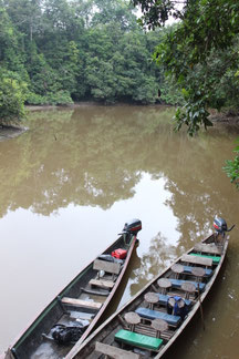 Canopy, Baumkronenpfad, Kanutouren, Nachtwanderung im Regenwald ECUADORline