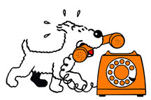 Contacter Laurent GUIMARD