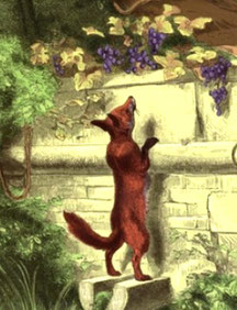 Illustration de la fable le renard et les raisins