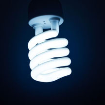 CFL Growlampe
