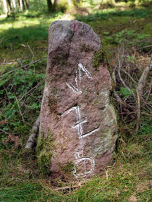 Grenze Aistaig / Hochmössingen