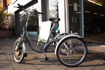 Dreirad Van Raam Maxi Comfort