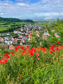 Achkarren (Foto: Weber)