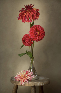 c) Sibylle Pietreck "Vase with Dahlias"