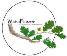 Wildnispädagogik