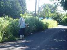 道路草刈り