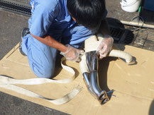 GC10ハコスカ　L28タコ足