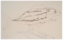 Fische Dominique Lenoir, maritime kunst