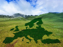 Hier ist der Green Deal für´s Büro