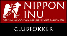 四国犬 Shikoku, dutch shikoku breeder