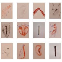 Works on paper by Tina Zlatina