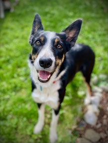 Teegan