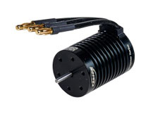 tamiya Cup Motor 500906313