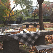 三樽別河畔緑地のベンチをテーブルにしてピクニック。