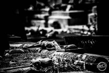 davcsl, in memoriam, cimetière, rip, nîmes, ste baudile, gard, occitanie, je soutiens nîmes