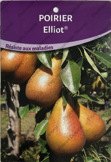 POIRIER ELLIOT ®