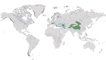 Karte zur Verbreitung der Gattung der Schneesperlinge