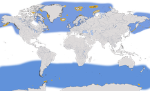 Karte zur Verbreitung der Gattung der Eissturmvögel