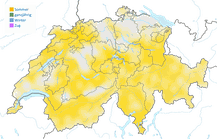 Karte zur Verbreitung der Felsenschwalbe in der Schweiz im Sommer.