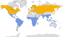 Verbreitung der Gattung der Uferläufer (Actitis)