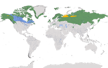 Karte zur Verbreitung der Gattung der Schneehühner