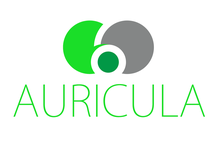 Foniatria a ORL ambulancia Bratislava, audiometria, MUDr. Richard Kulich