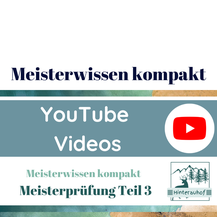 Meisterschule Meister machen Übungen 
