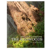 Redwood National Park & Classic Motown Mix