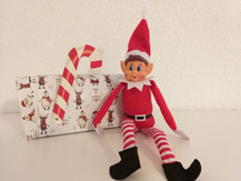 Ankunft von Elf in the shelf