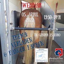 Stress beim Pferdetransport