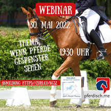Pferde, die im Außen sind, sind eine Gefahr beim Reiten