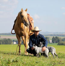 Jens mit Hengst Chex u. Hunden Lucky & Joy
