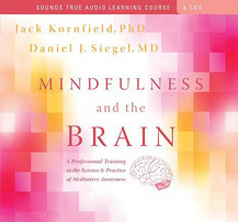 CD: Mindfulness and the Brain (6 CDs)