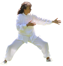 seances de qi gong a tours avec michele bordier - annuaire des therapeutes via energetica
