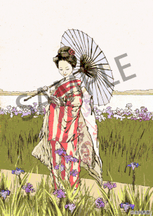 日本女性と菖蒲 イラスト 永井秀樹