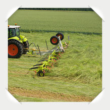 Claas Volto Heuwender