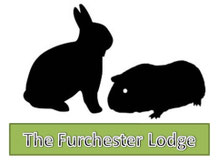Furchester Lodge Small Animal Boarding