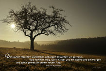 Dietrich Bonhoeffer, Morgenstimmung, Christliche Karten