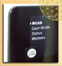 wlan wireless bluethooth e-smog elektrosmog neutral armieren entstören abschirmen deutschland schweiz österreich corona  Erfahrungsbericht Beratung Wave Störquellen WLAN Bundesamt für umwelt HEV Umwelt Pflanzen  Tiere Elektrosmoghilfe dämmung Schutzhülle 