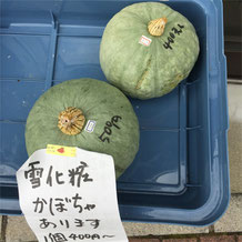 無農薬野菜