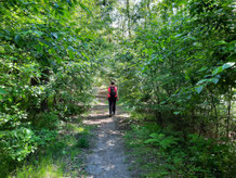 Bild:Wandern mit Martina Thies