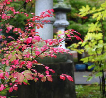 　　　　　　　　１１月