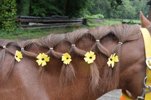 Ponylager