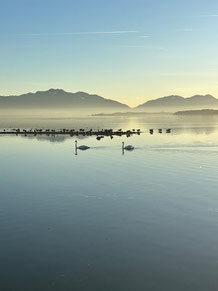Bild vom Chiemsee in völliger Ruhe