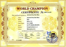 world champion 