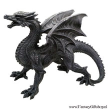 Fantasy Giftshop - Draak - Dragon - Beeld - Dragon Watcher - 49cm