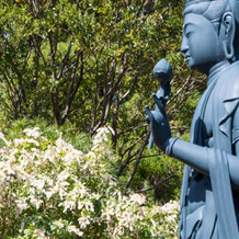 妙法山の馬酔木