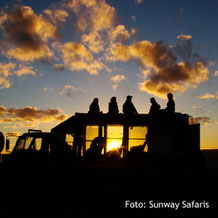 Sundowner auf einer Safari, Südafrika