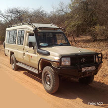 Lodgesafari auf einem Geländewagen in Tanzania